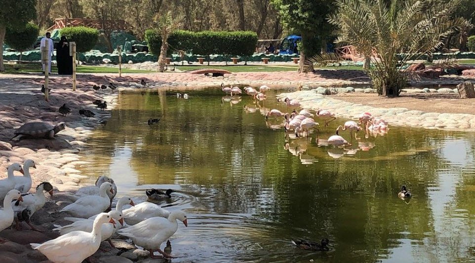 Al Areen Wildlife Park, Southern Governorate, Bahrain